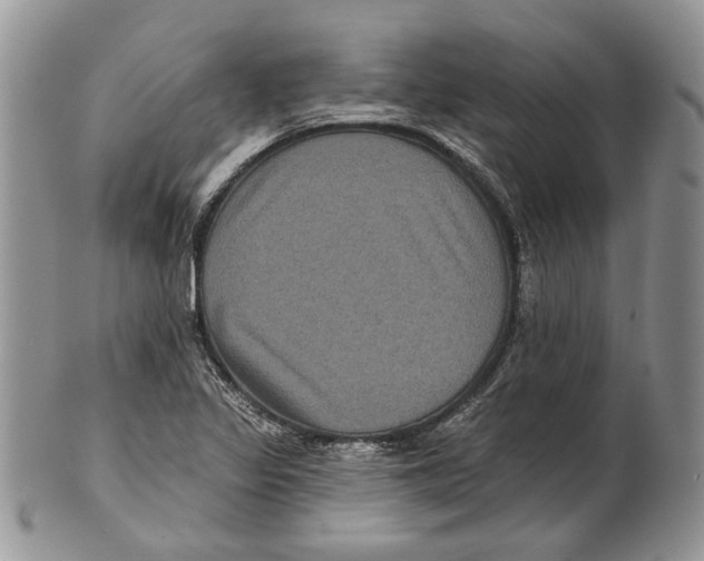 X0000101141317200807251017