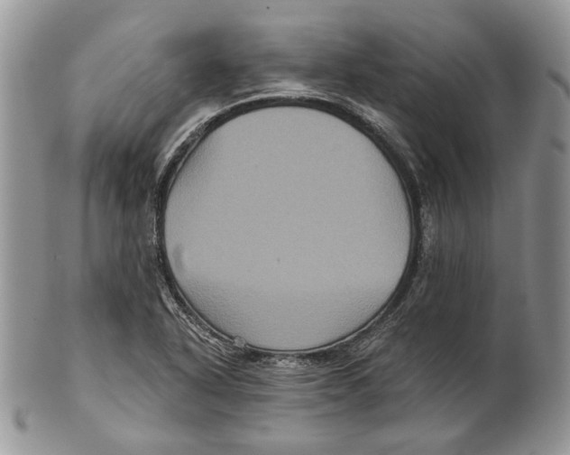 X0000101141318200807251017