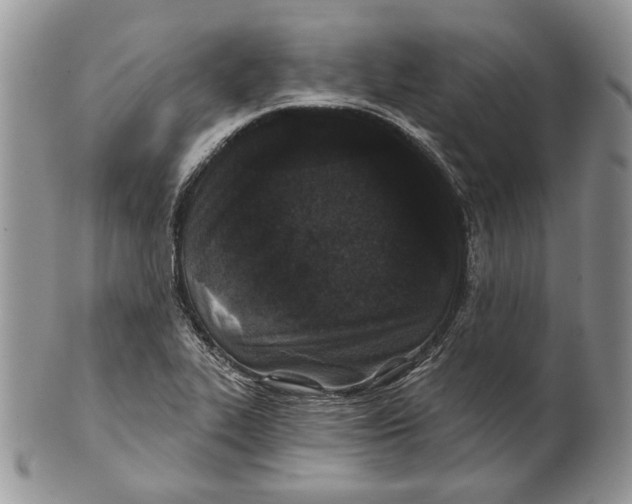 X0000101141319200807251017