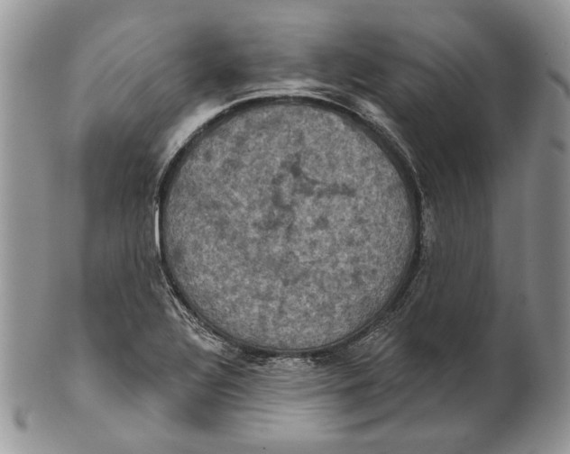 X0000101141320200807251017