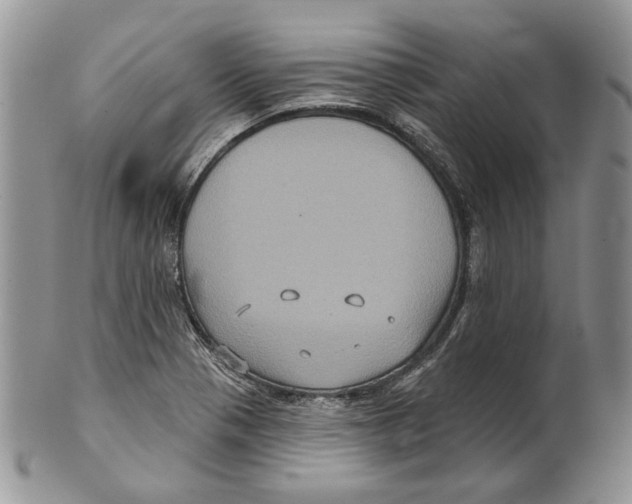 X0000101141321200807251017