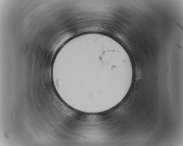 X0000101141322200807251017