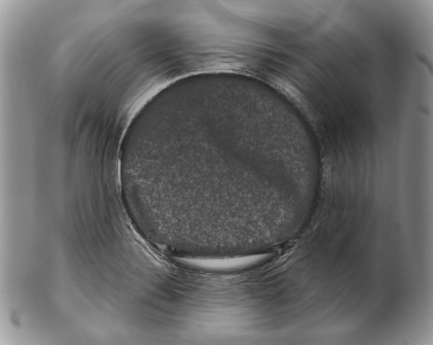 X0000101141324200807251017