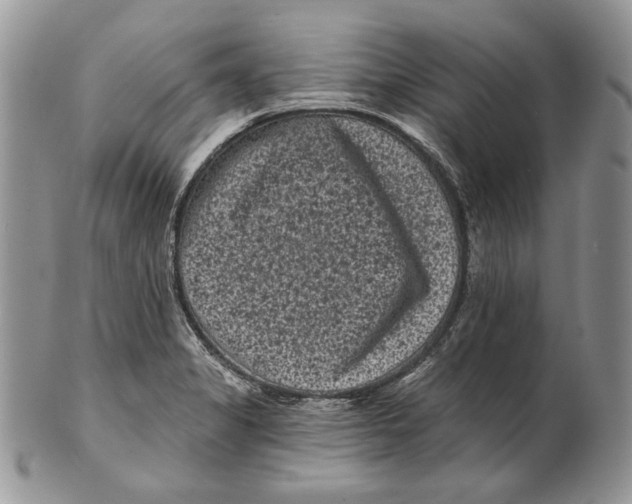 X0000101141325200807251017