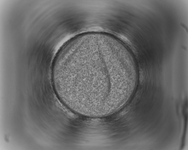 X0000101141326200807251017