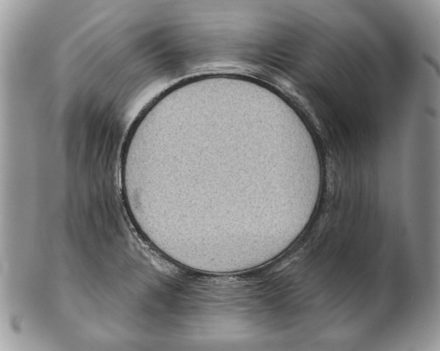 X0000101141328200807251017