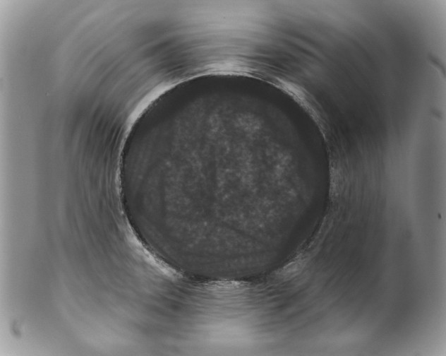 X0000101141331200807251017