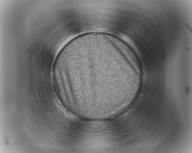 X0000101141332200807251017