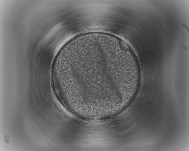 X0000101141333200807251017