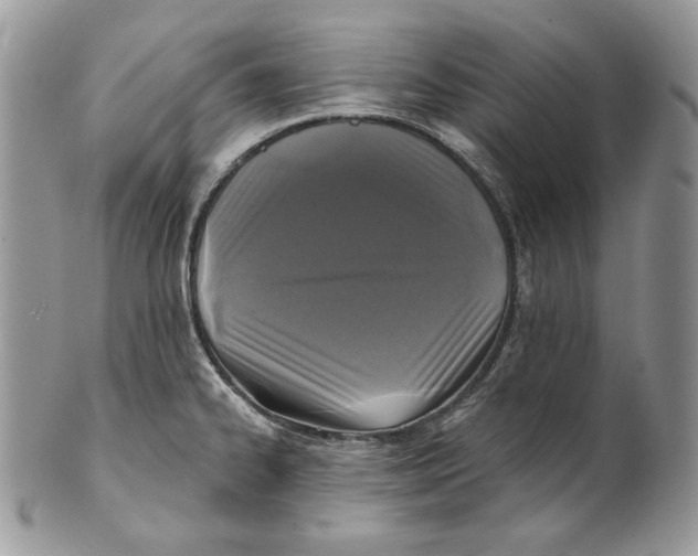 X0000101141334200807251017