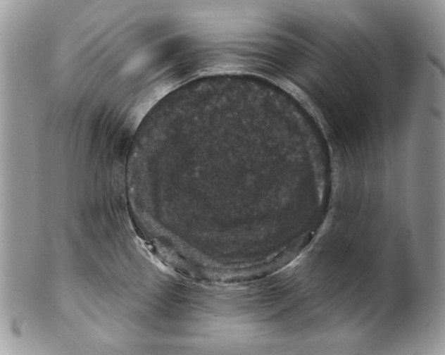 X0000101141337200807251017