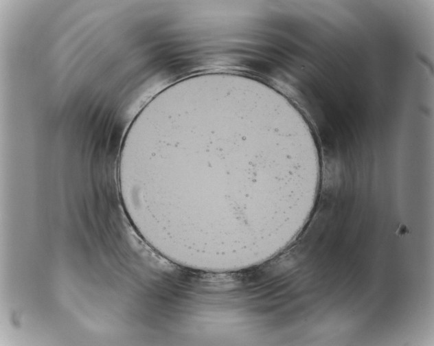 X0000101141338200807251017