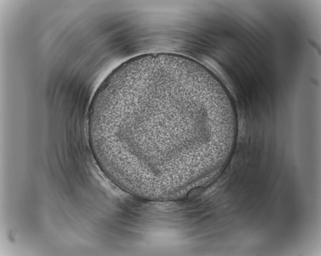 X0000101141340200807251017