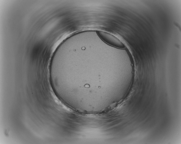 X0000101141341200807251017