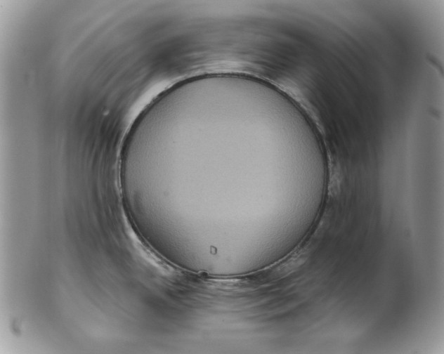 X0000101141342200807251017