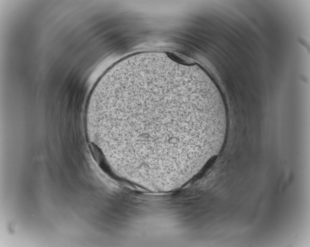 X0000101141344200807251017