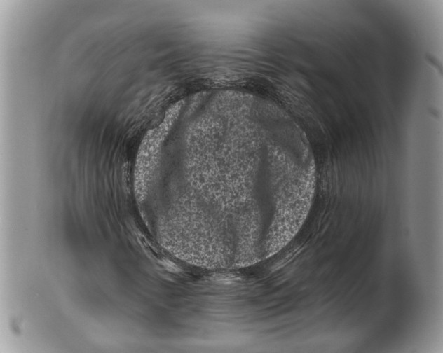 X0000101141346200807251017