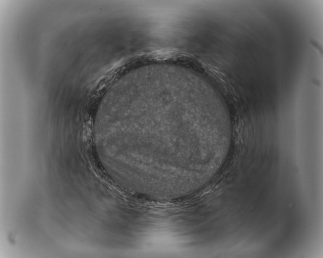 X0000101141349200807251016