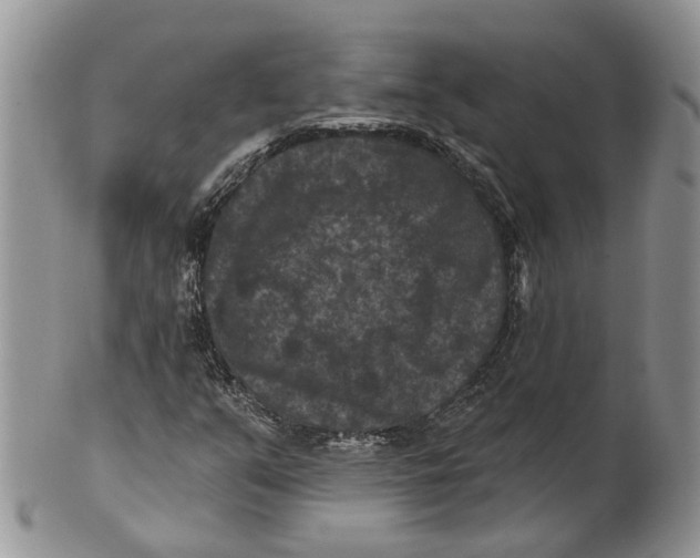 X0000101141351200807251016