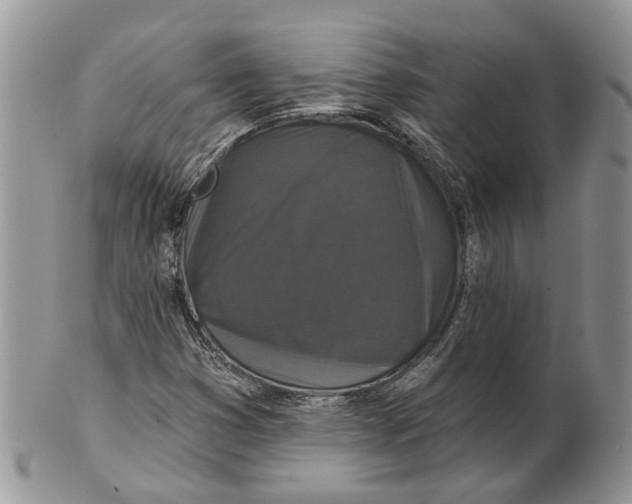 X0000101141353200807251016