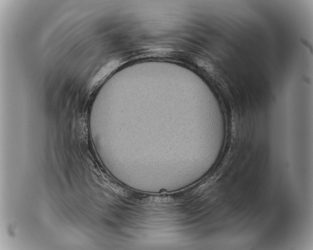 X0000101141354200807251016