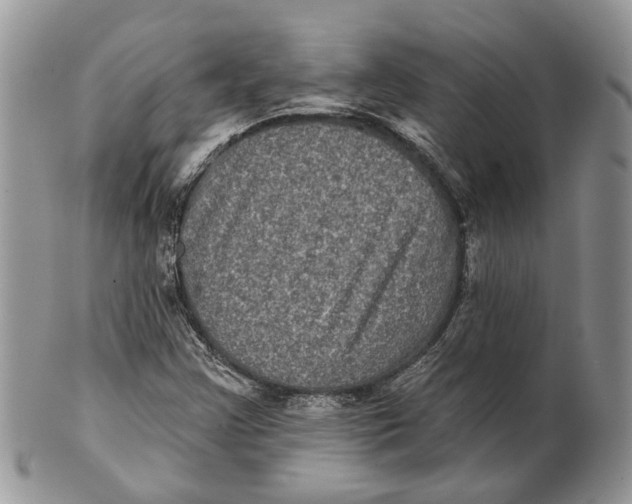 X0000101141355200807251016