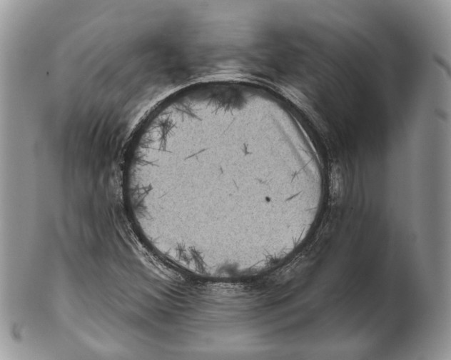 X0000101141356200807251016