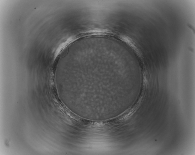 X0000101141357200807251016