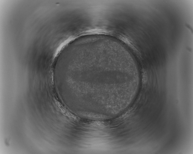 X0000101141358200807251016