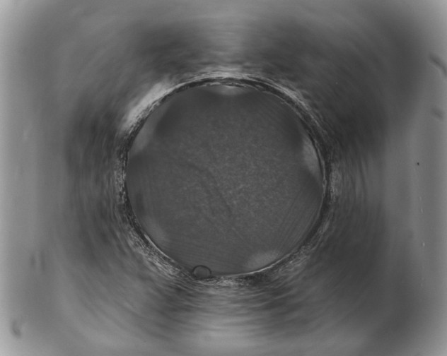 X0000101141359200807251016