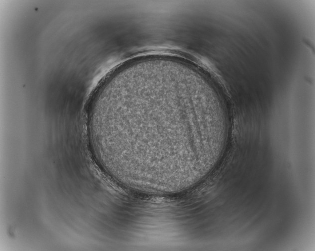 X0000101141360200807251016