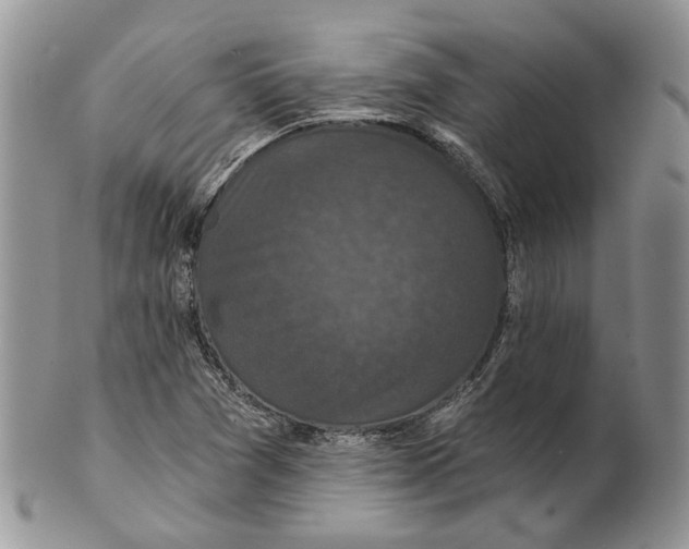 X0000101141361200807251016