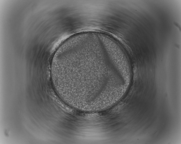 X0000101141363200807251016