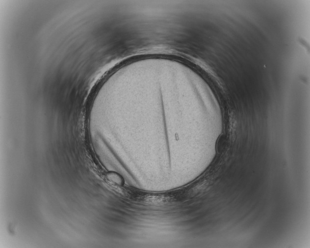 X0000101141364200807251016