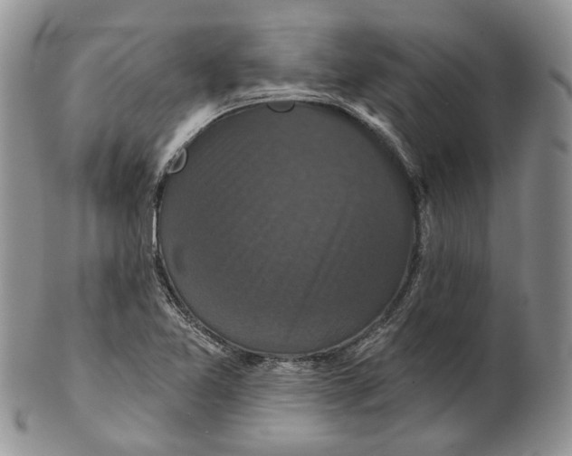 X0000101141365200807251016