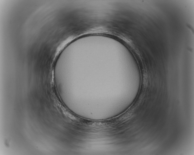 X0000101141366200807251016