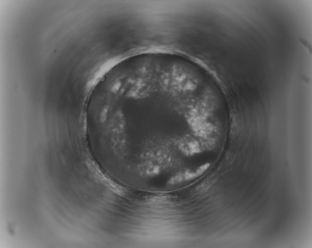 X0000101141367200807251016