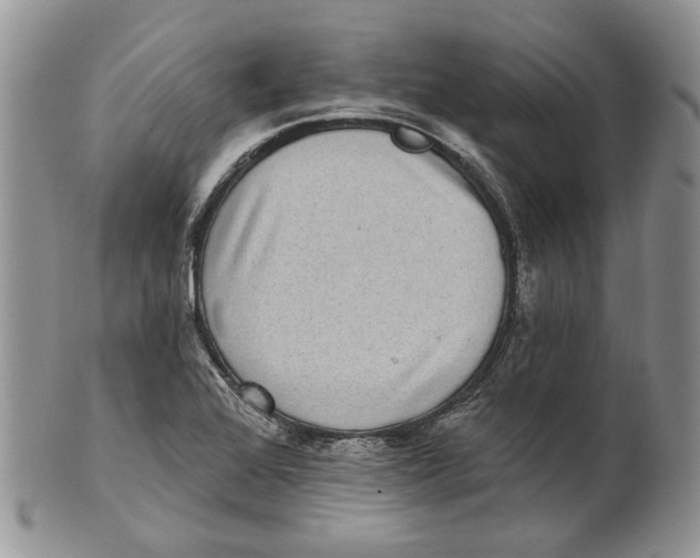 X0000101141368200807251016