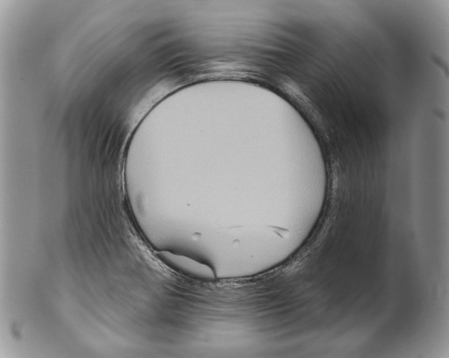 X0000101141370200807251016