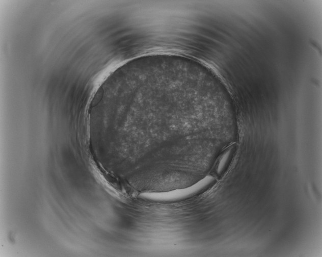 X0000101141371200807251016