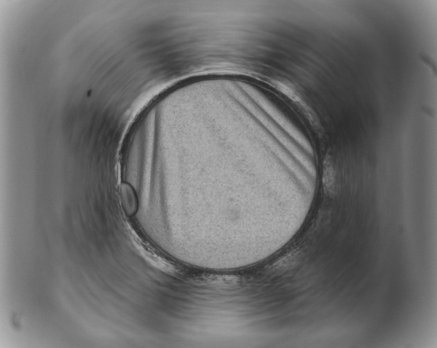 X0000101141372200807251016