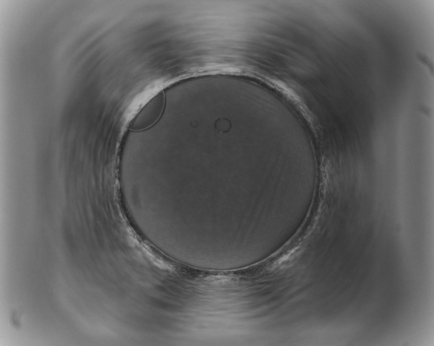 X0000101141373200807251016