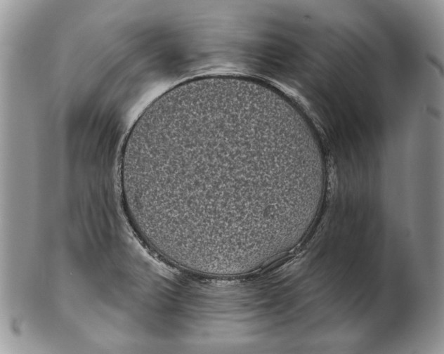 X0000101141375200807251016