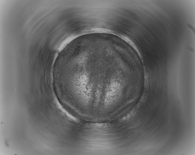 X0000101141381200807251016