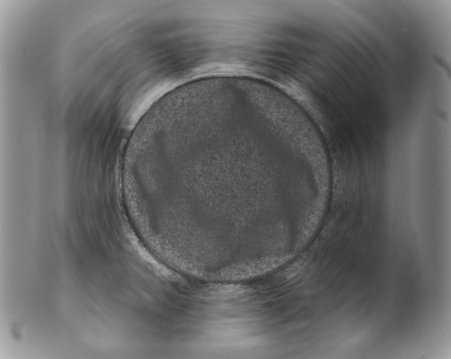 X0000101141382200807251016