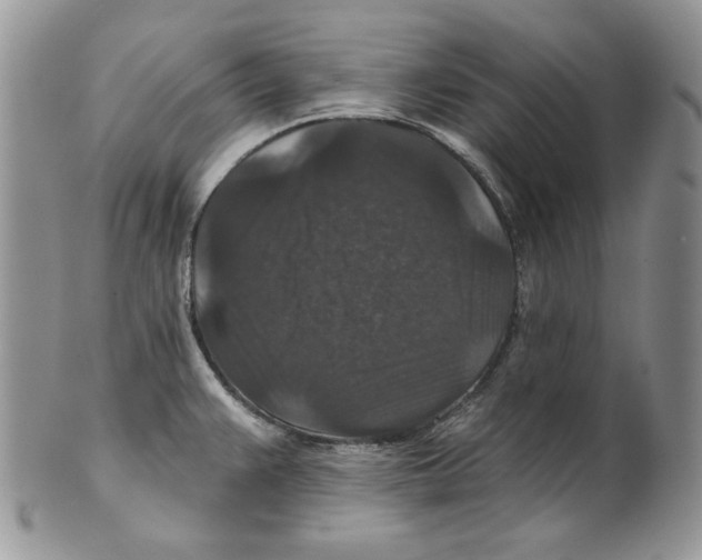 X0000101141383200807251016