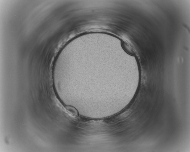 X0000101141384200807251016