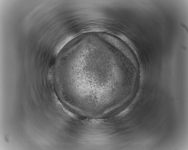 X0000101141385200807251016