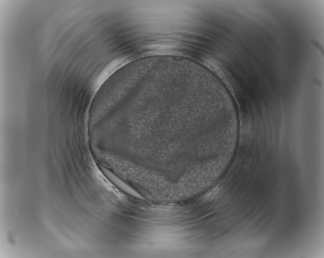 X0000101141386200807251016