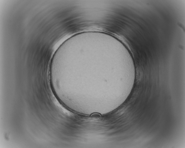 X0000101141387200807251016